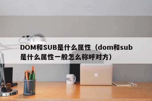 DOM和SUB是什么属性（dom和sub是什么属性一般怎么称呼对方） 时事