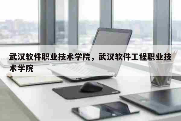 武汉软件职业技术学院，武汉软件工程职业技术学院 教育