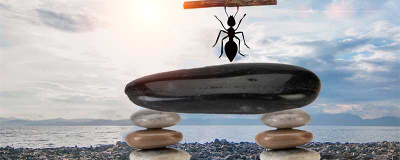 蚂蚁的分工和职责 蚂蚁的分工和职责 蚂蚁是怎么分工的 生活